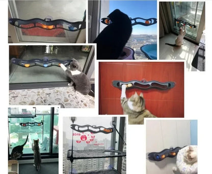 Jouet pour chat MagicVentouse Cat - Piste à balles avec ventouse pour fixation sur fenêtre